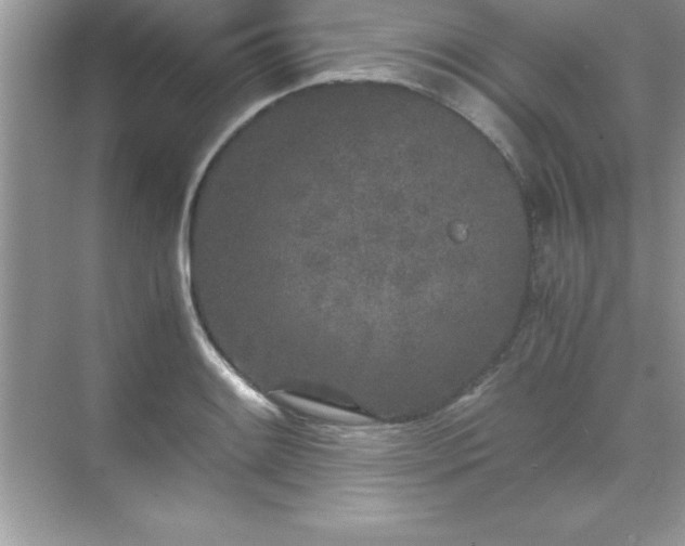 X0000071831084200607072203