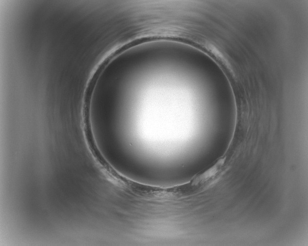 X0000071831085200607072203