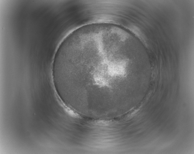 X0000071831086200607072203