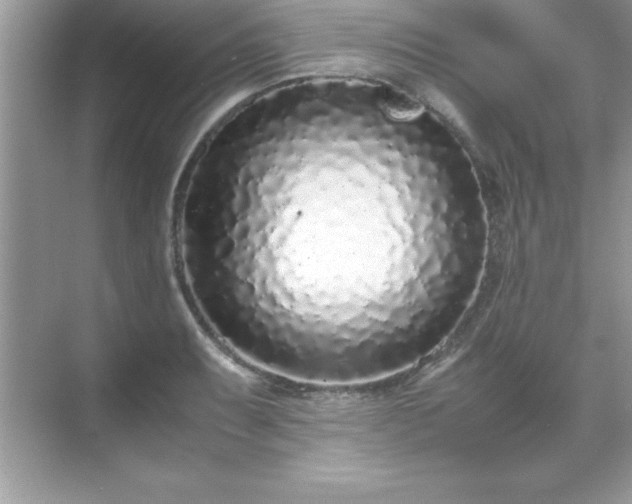 X0000071831087200607072203