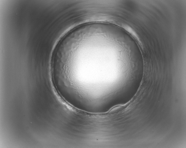 X0000071831088200607072203