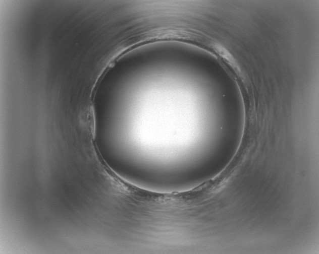 X0000071831089200607072203