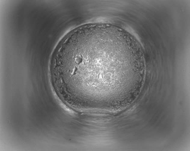 X0000071831091200607072203