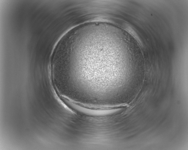 X0000071831092200607072203