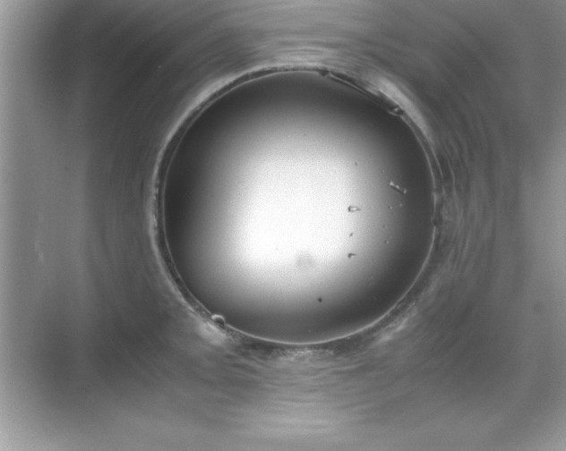 X0000071831093200607072203