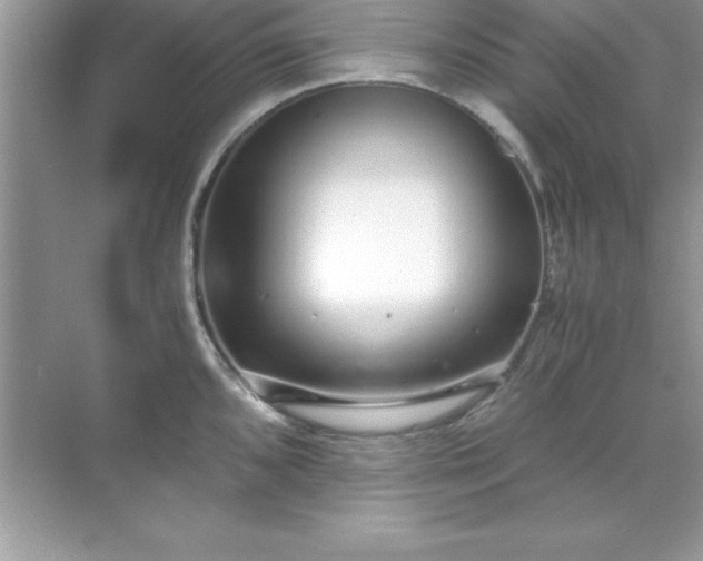 X0000071831096200607072203