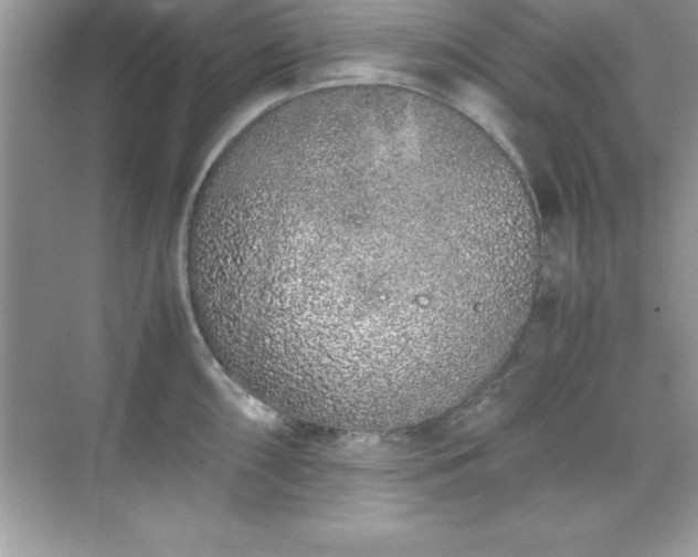 X0000071831098200607072203