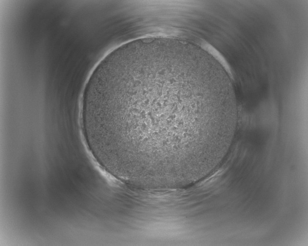 X0000071831099200607072203