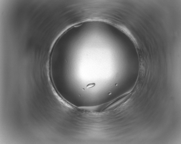 X0000071831100200607072203