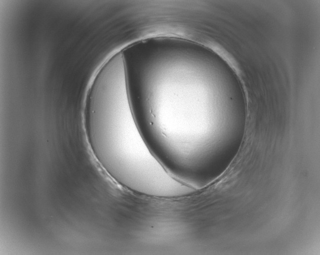 X0000071831104200607072203