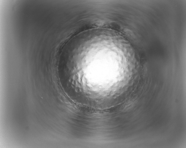 X0000071831105200607072202