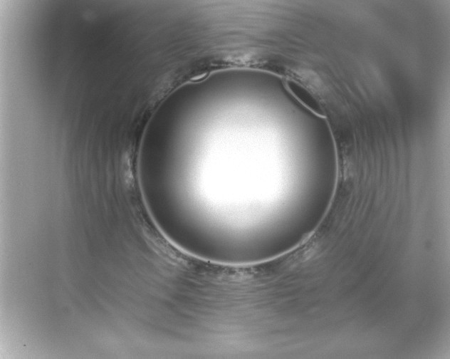 X0000071831106200607072202