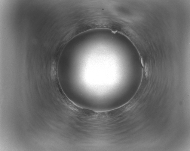 X0000071831107200607072202