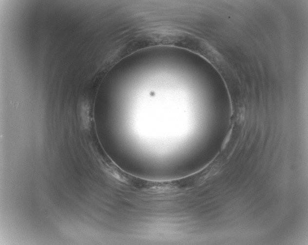 X0000071831108200607072202