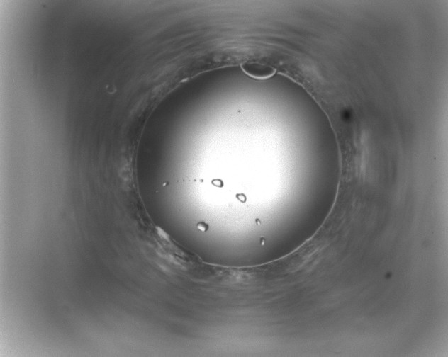 X0000071831109200607072202