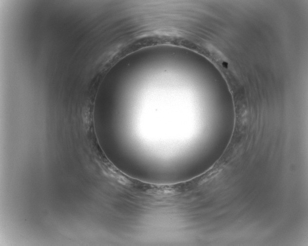 X0000071831110200607072202