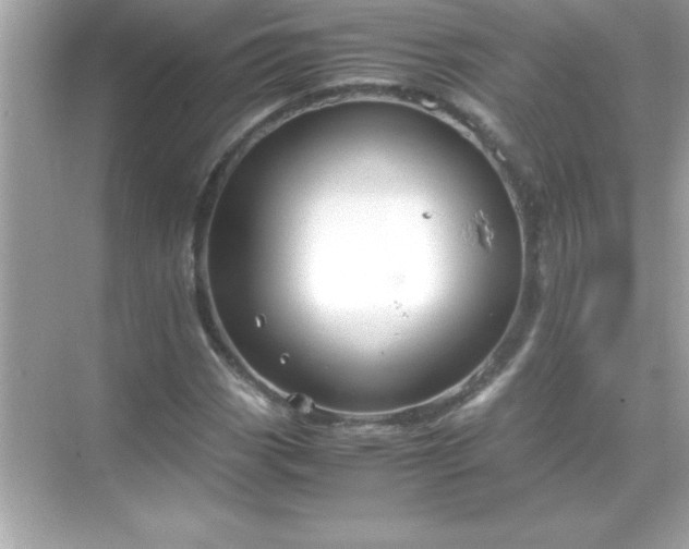 X0000071831113200607072202