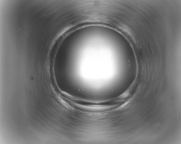 X0000071831114200607072202