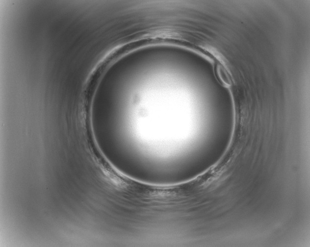 X0000071831115200607072202