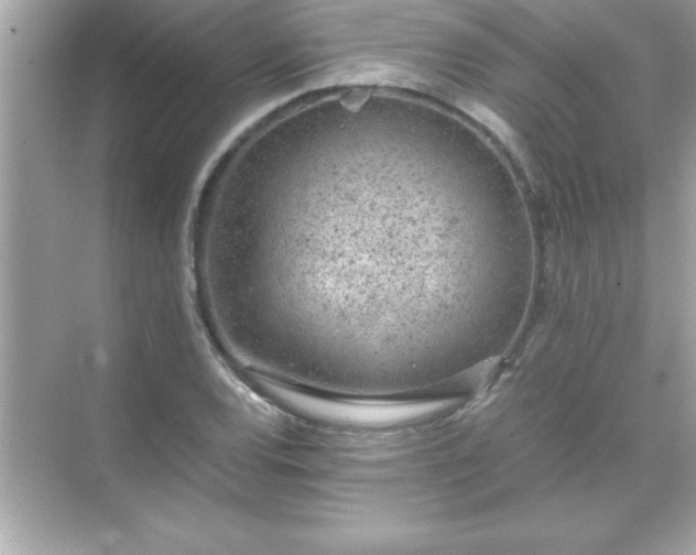 X0000071831120200607072203