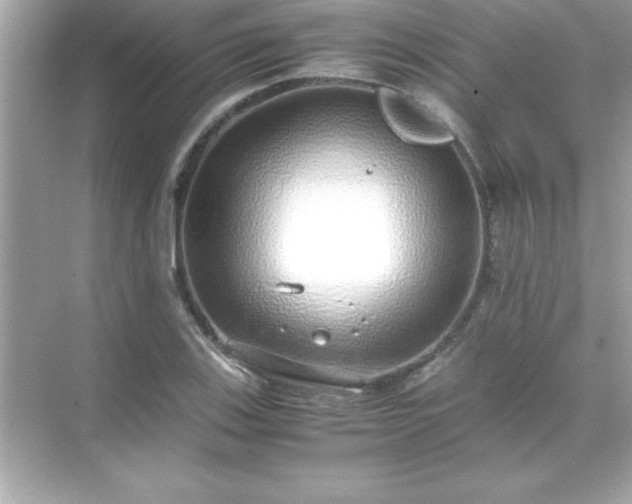 X0000071831123200607072203