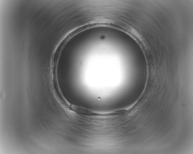 X0000071831124200607072203