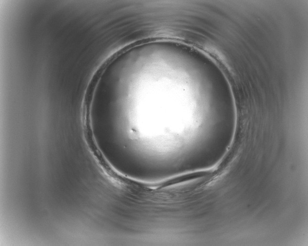 X0000071831125200607072203