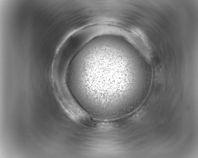 X0000071831128200607072203