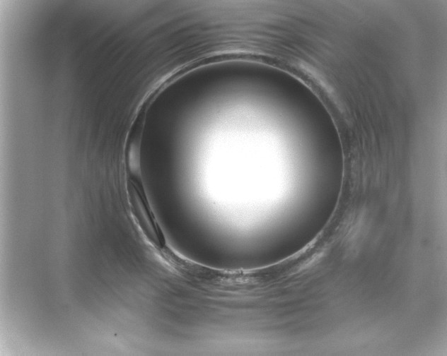 X0000071831129200607072203