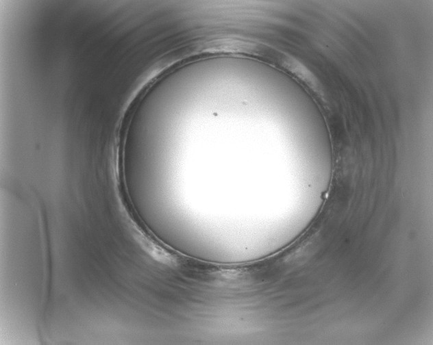 X0000071831130200607072203