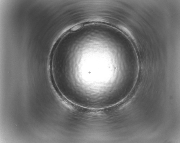 X0000071831133200607072203