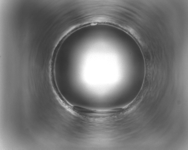 X0000071831134200607072203