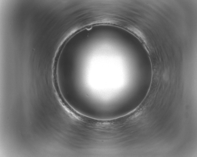 X0000071831135200607072203