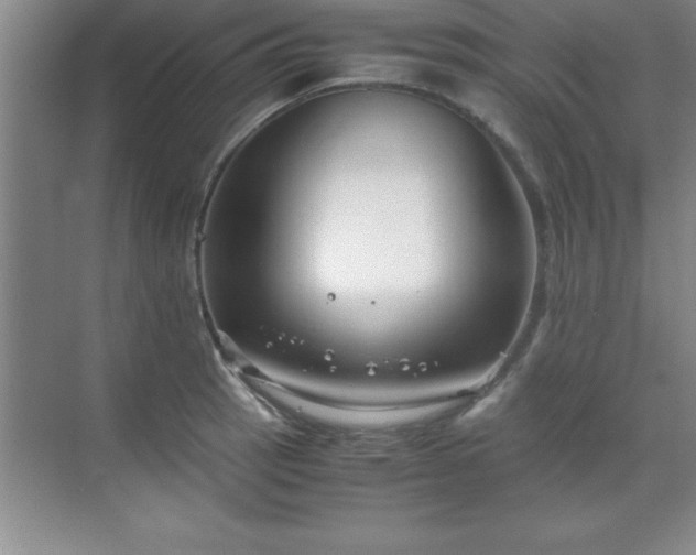 X0000071831137200607072203