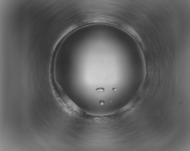 X0000071831138200607072203