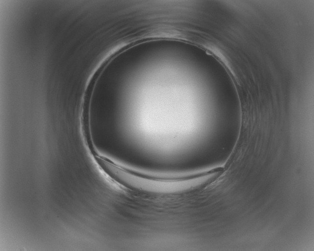 X0000071831139200607072203