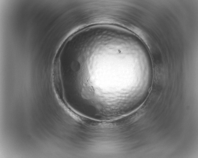 X0000071831142200607072203