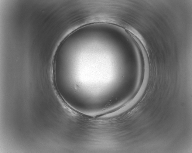 X0000071831144200607072203