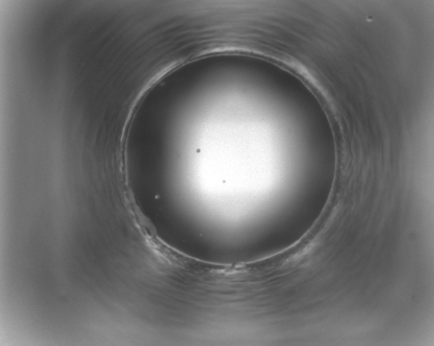 X0000071831145200607072203