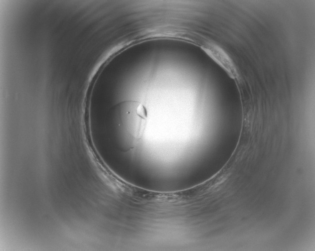 X0000071831146200607072203