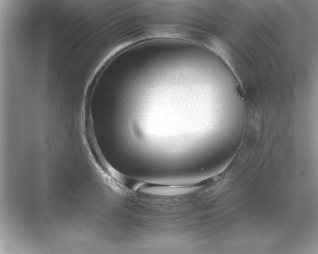 X0000071831147200607072203