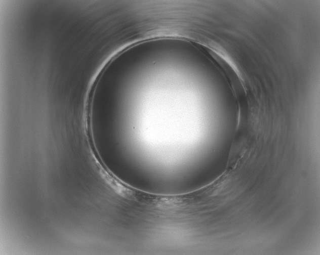 X0000071831148200607072203