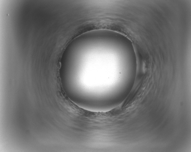 X0000071831153200607072202