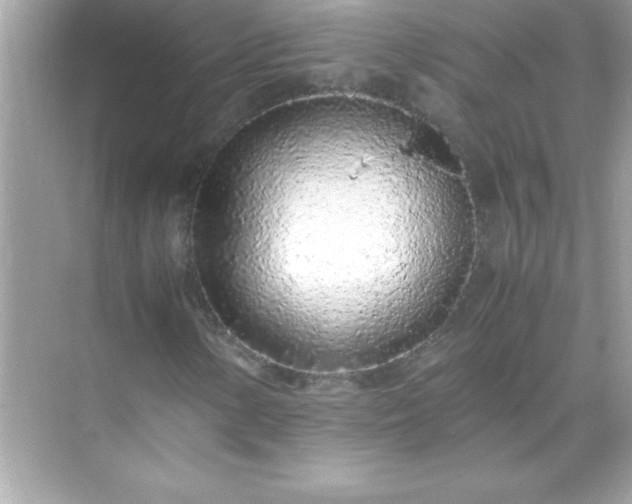 X0000071831154200607072202