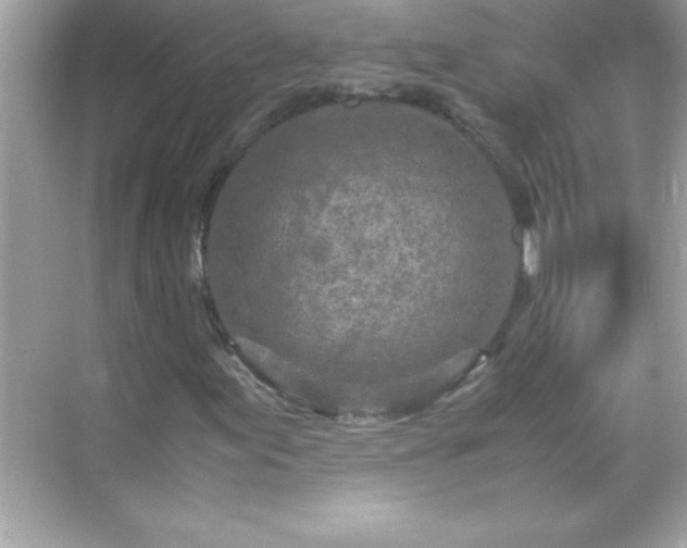 X0000071831155200607072202