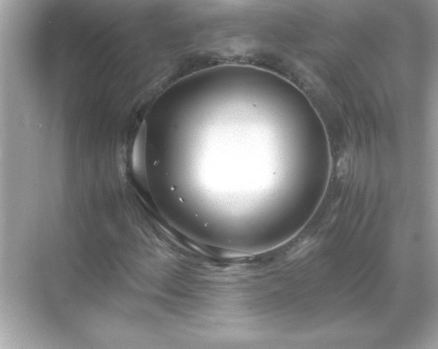 X0000071831156200607072202