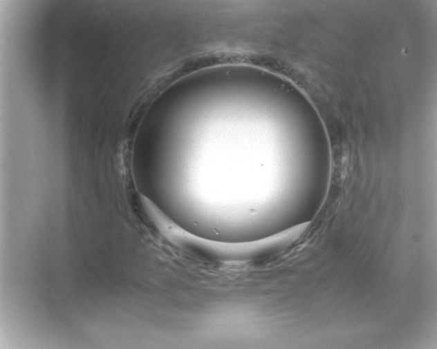 X0000071831157200607072202