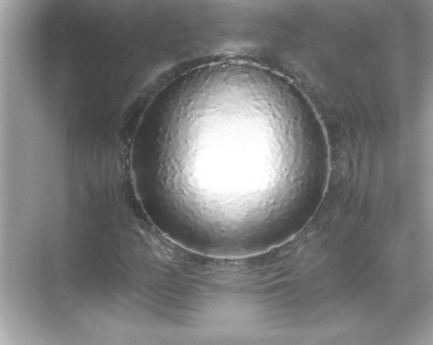 X0000071831158200607072202