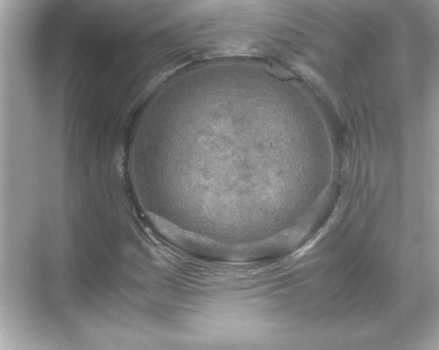 X0000071831161200607072202