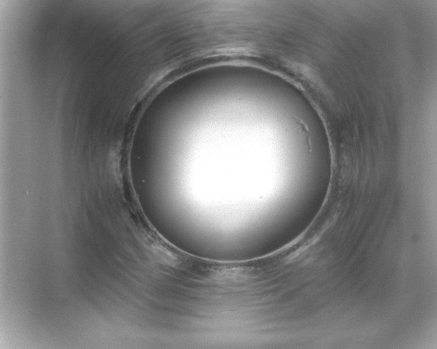 X0000071831162200607072202